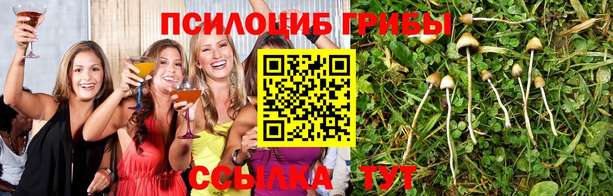 Псилоцибиновые грибы Magic Shrooms  Вход с VPN  Гай 